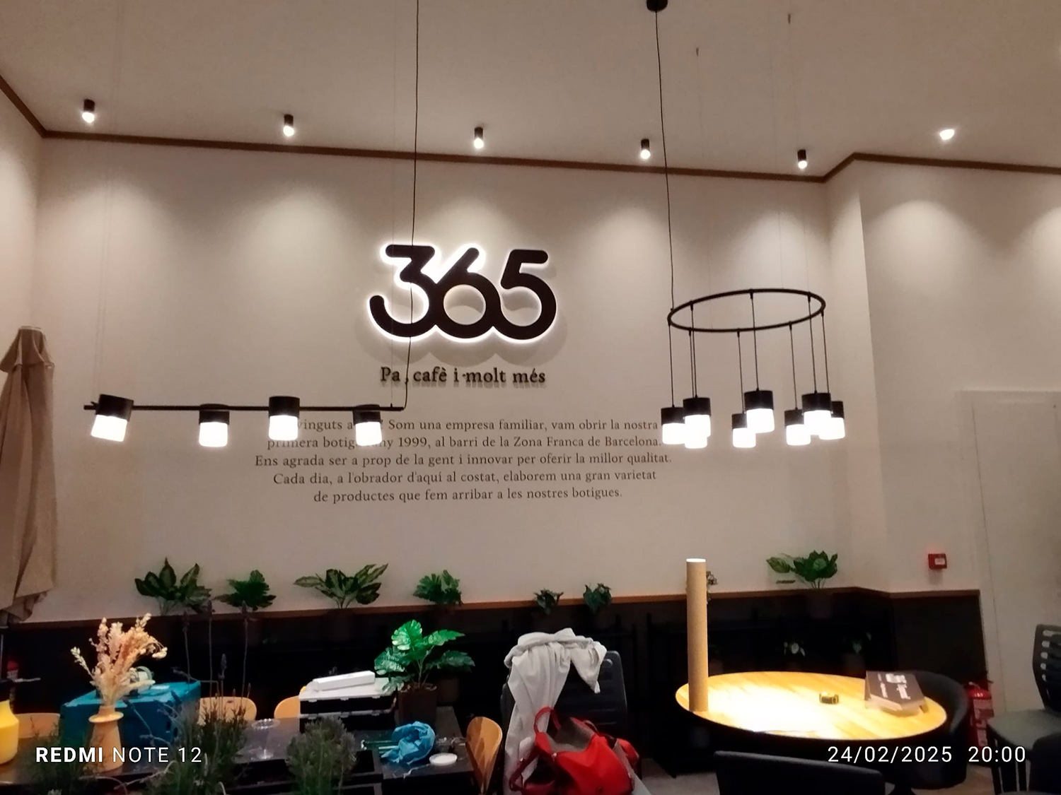 365-6