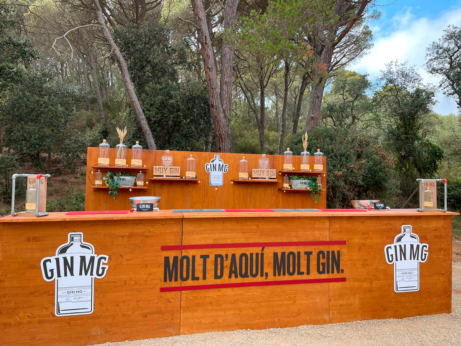 Gin-mg-6
